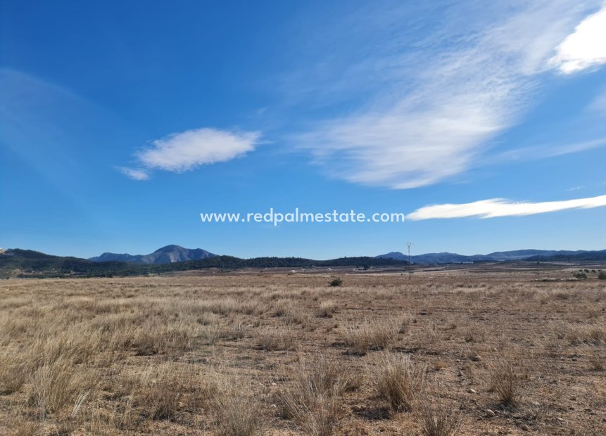 Videresalg - Villa -
Pinoso - Inland