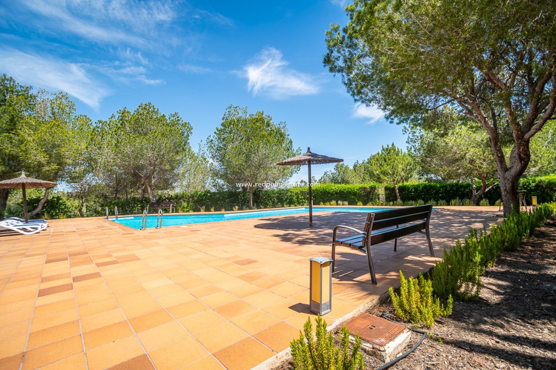 Videresalg - Villa -
San Miguel de Salinas - Inland