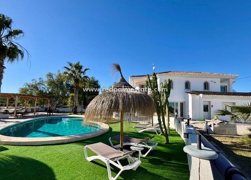 Videresalg - Villa -
San Miguel de Salinas - Pueblo 9