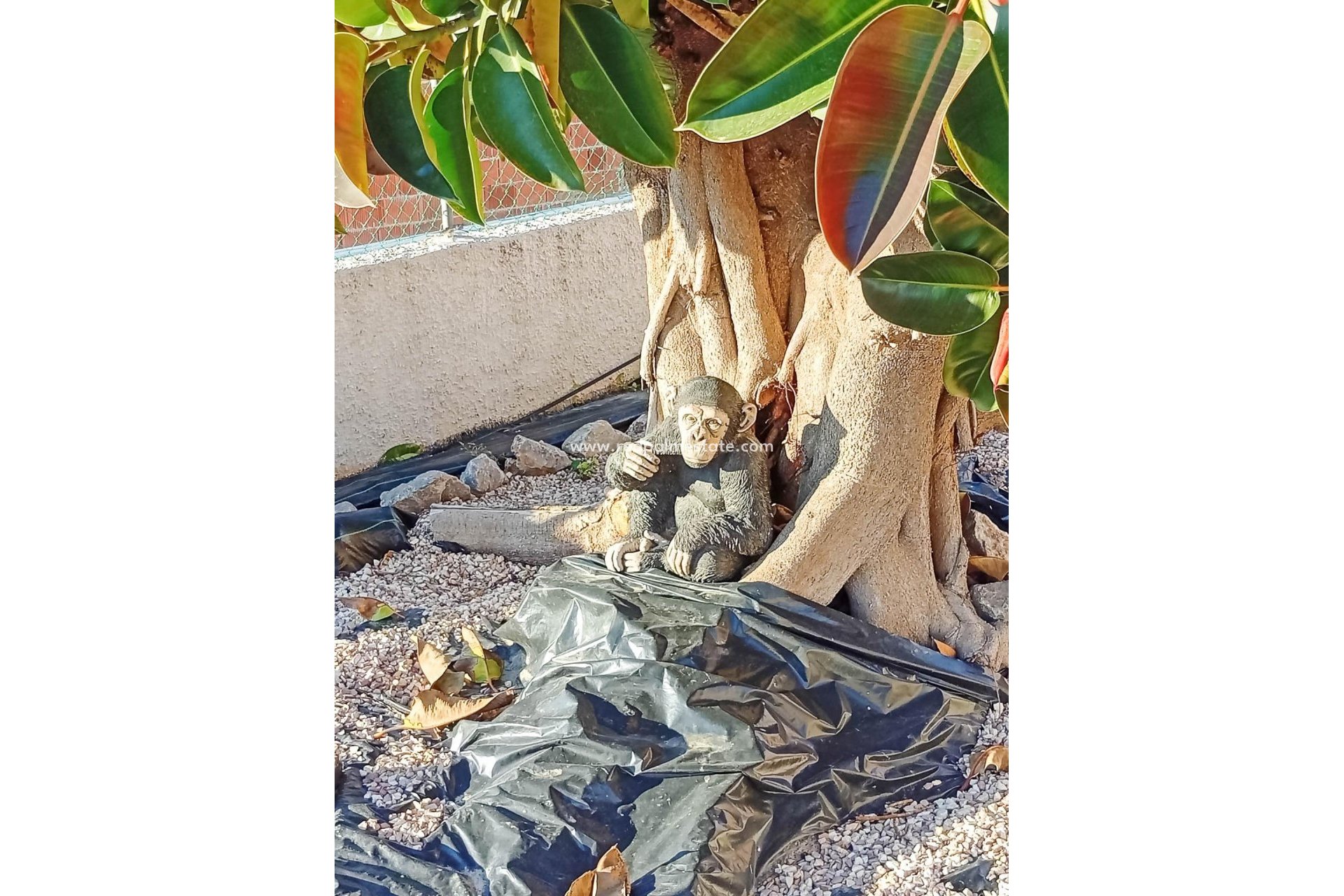 Videresalg - Villa -
Torrevieja - La Siesta - El Salado - Torreta