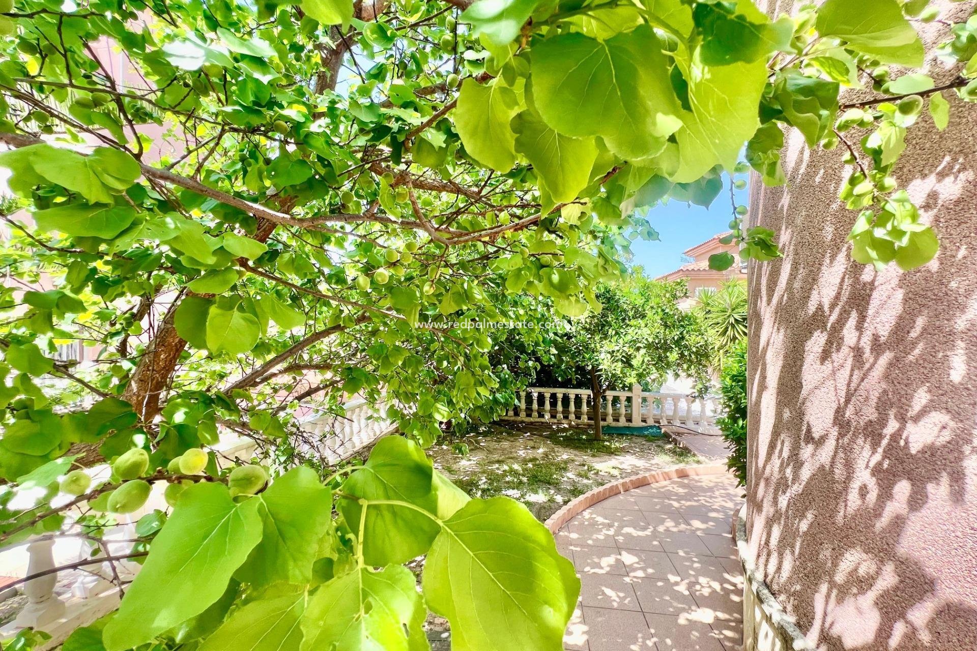 Videresalg - Villa -
Torrevieja - Los balcones