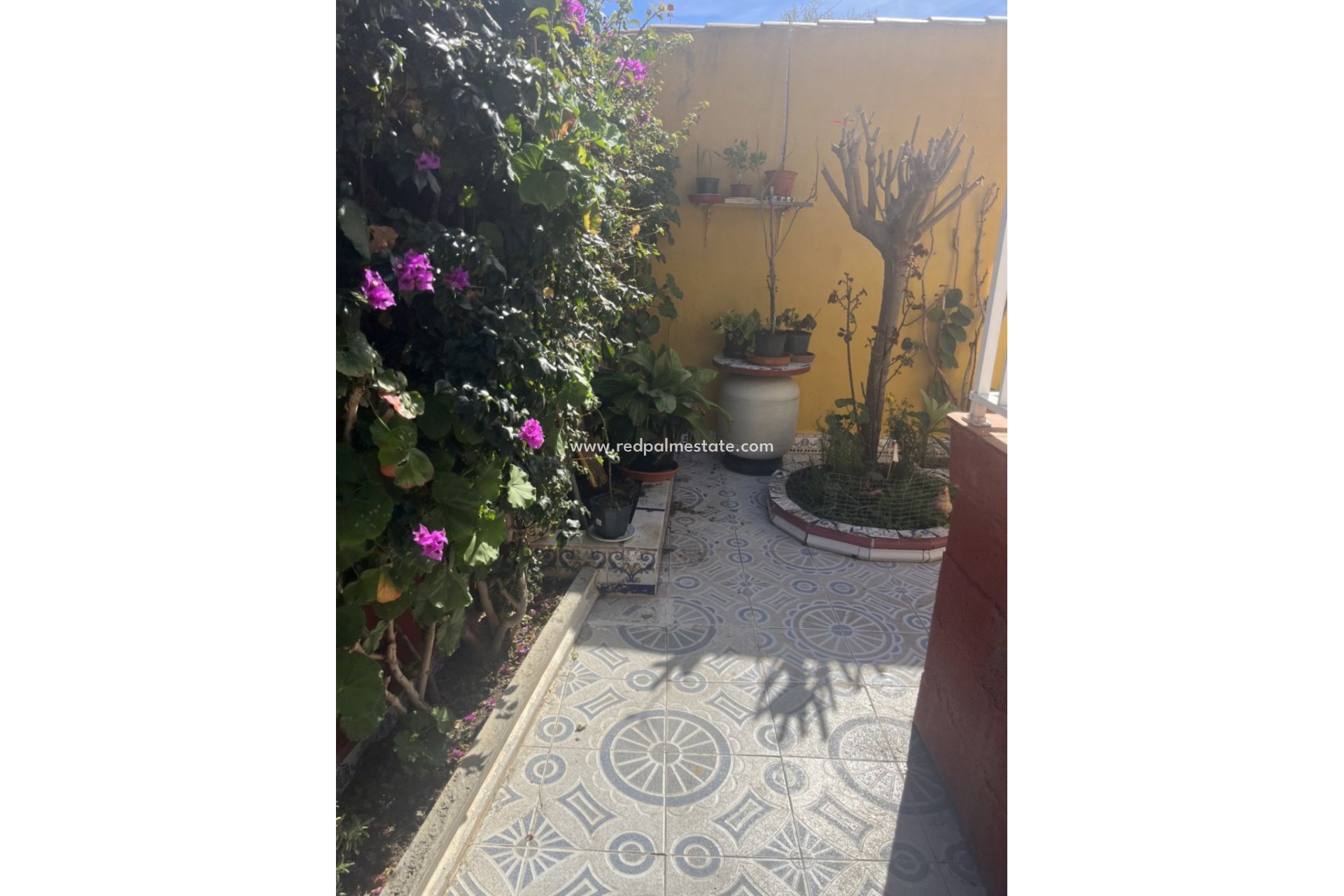 Videresalg - Villa -
Torrevieja - Punta prima