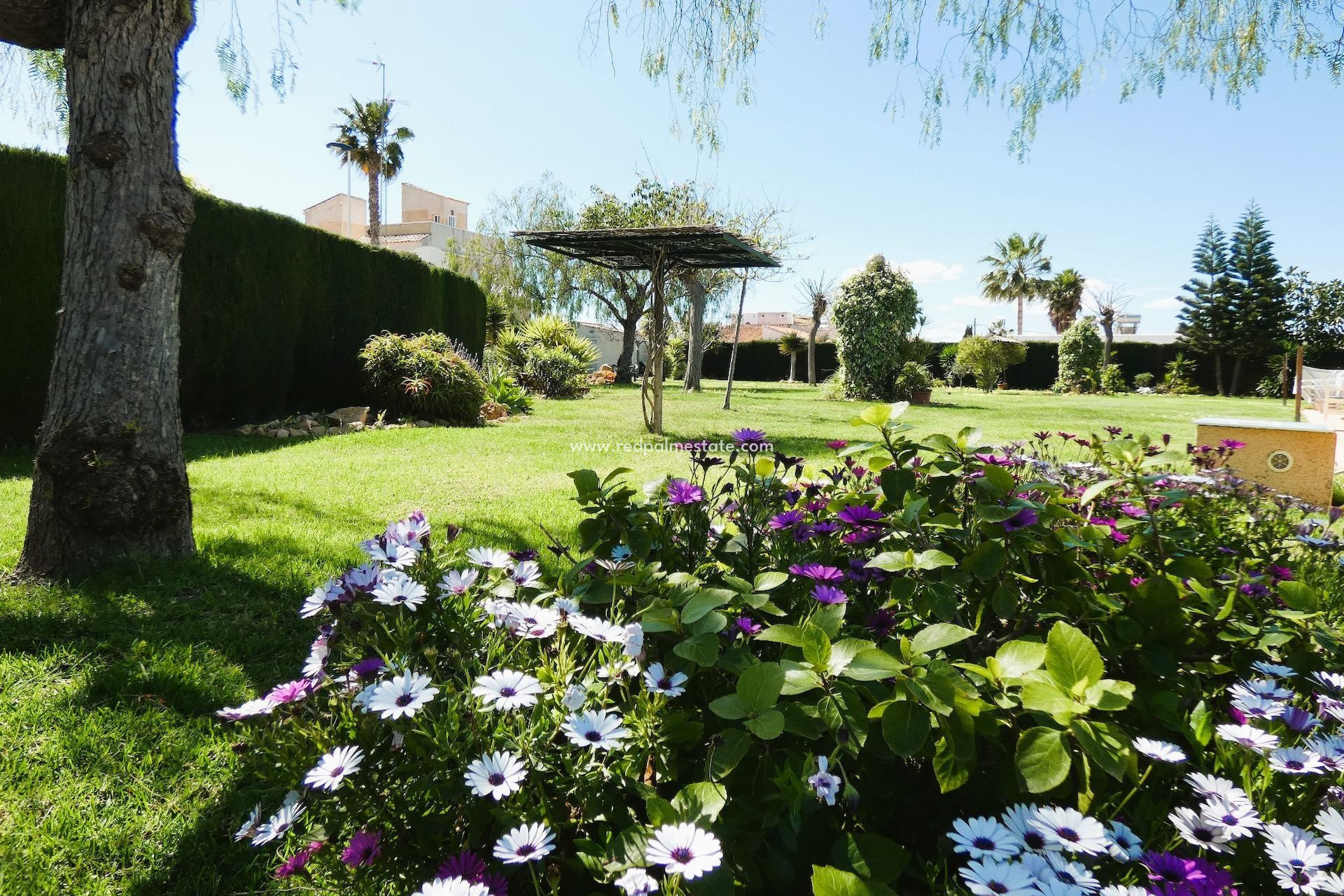 Videresalg - Villa -
Torrevieja