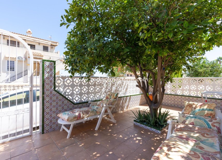 Videresalg - Villa -
Torrevieja