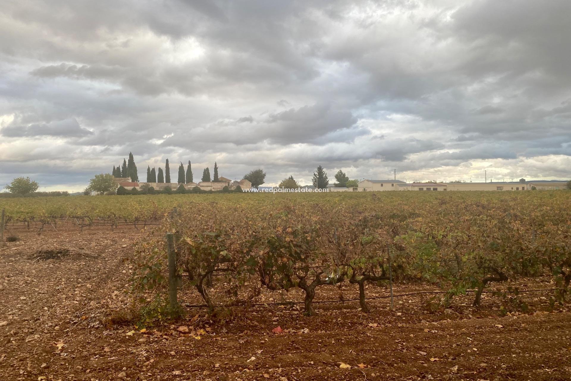 Videresalg - Virksomhet -
Albacete