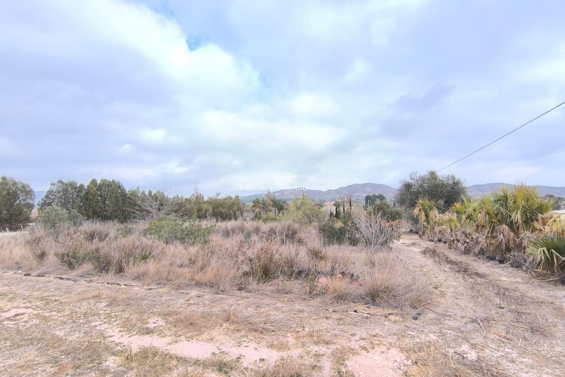 Videresalg - Virksomhet -
Aspe - Inland
