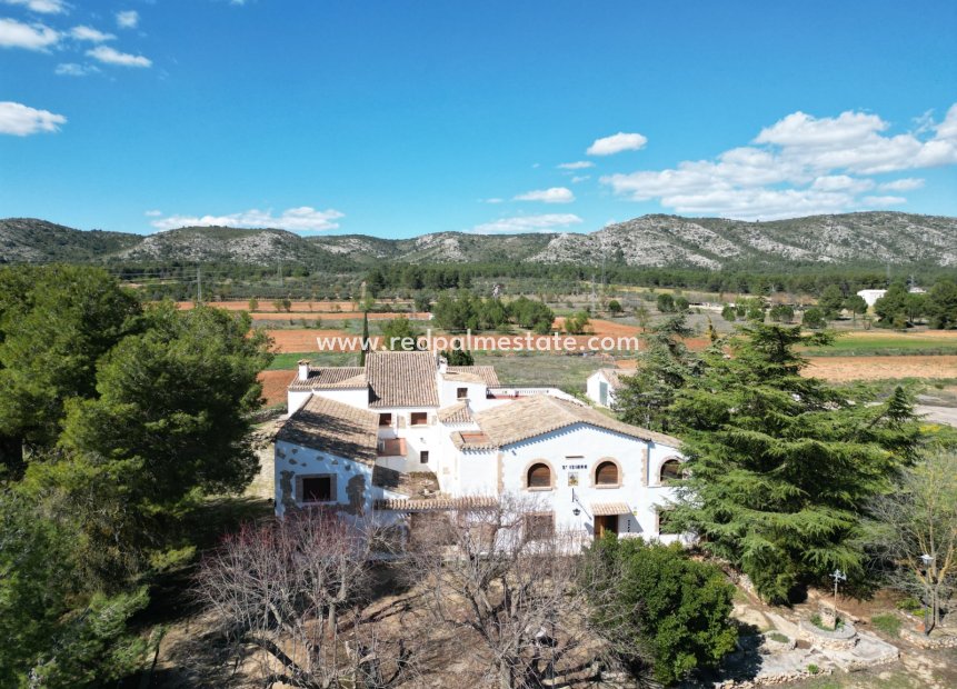Videresalg - Virksomhet -
Banyeres De Mariola - Inland