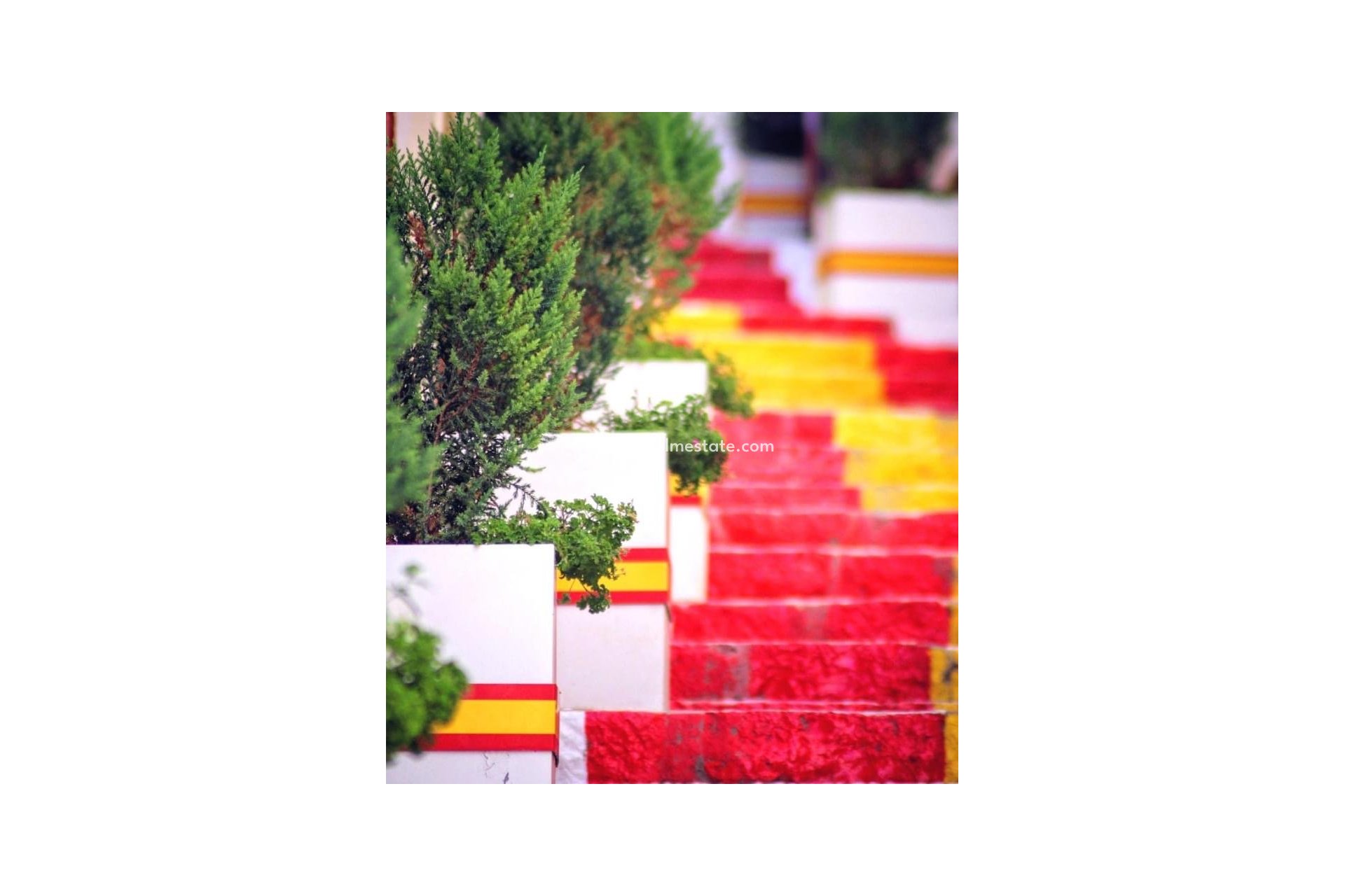 Videresalg - Virksomhet -
Calpe