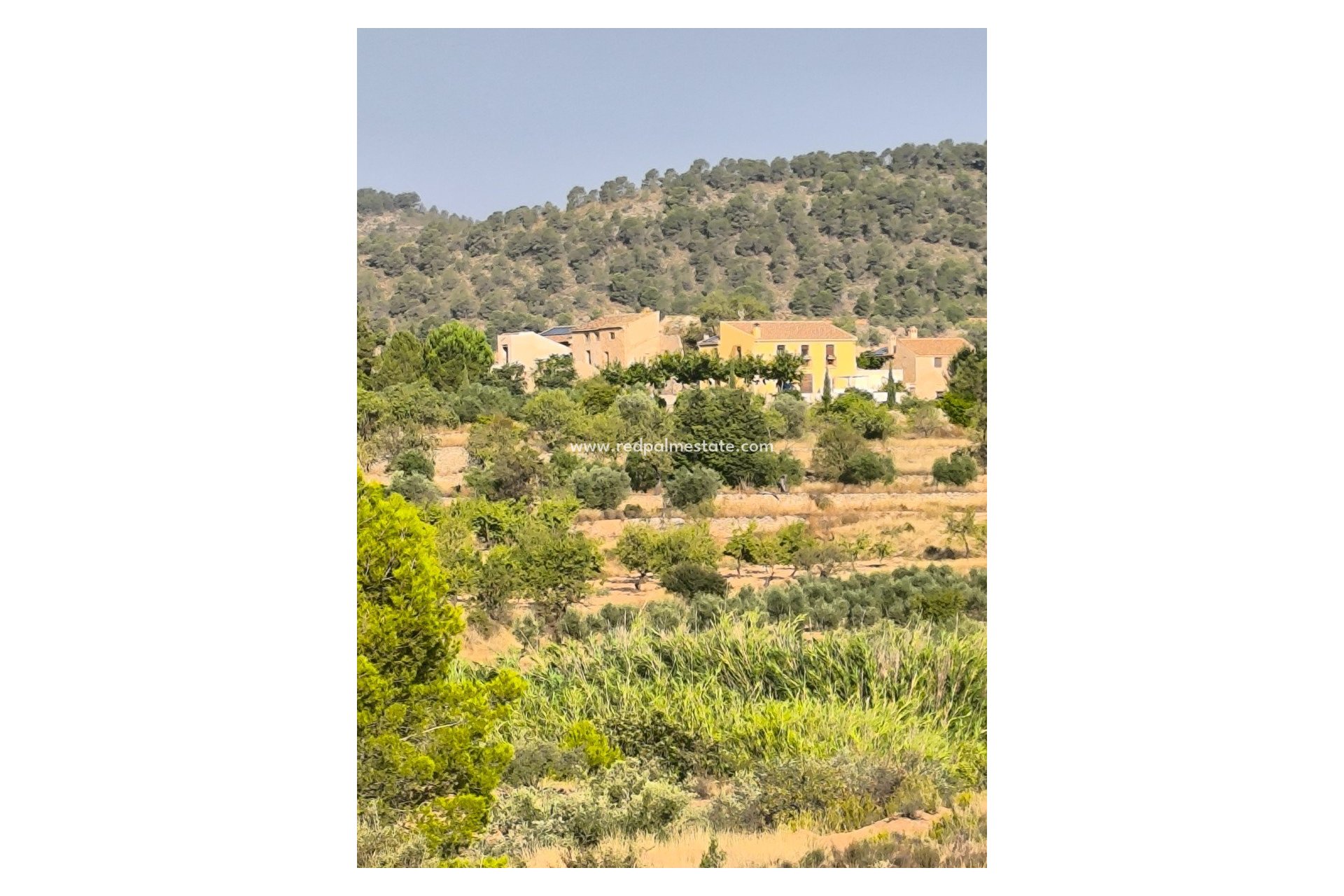 Videresalg - Virksomhet -
Casas del Senor - Inland