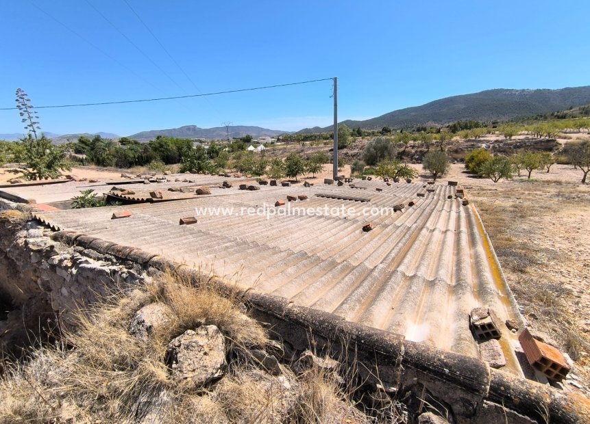 Videresalg - Virksomhet -
Chinorlet - Inland