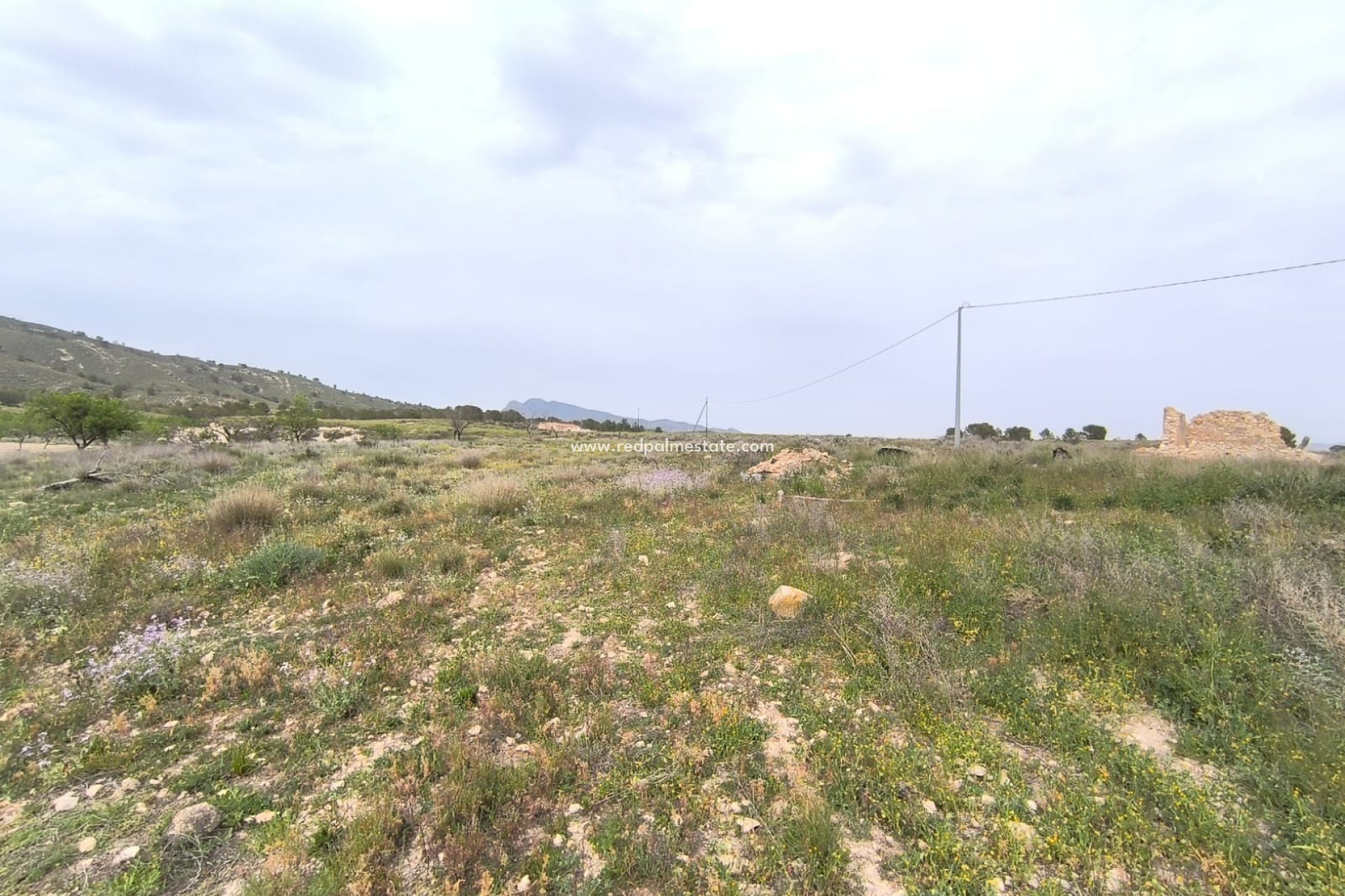 Videresalg - Virksomhet -
Las Encebras - Inland