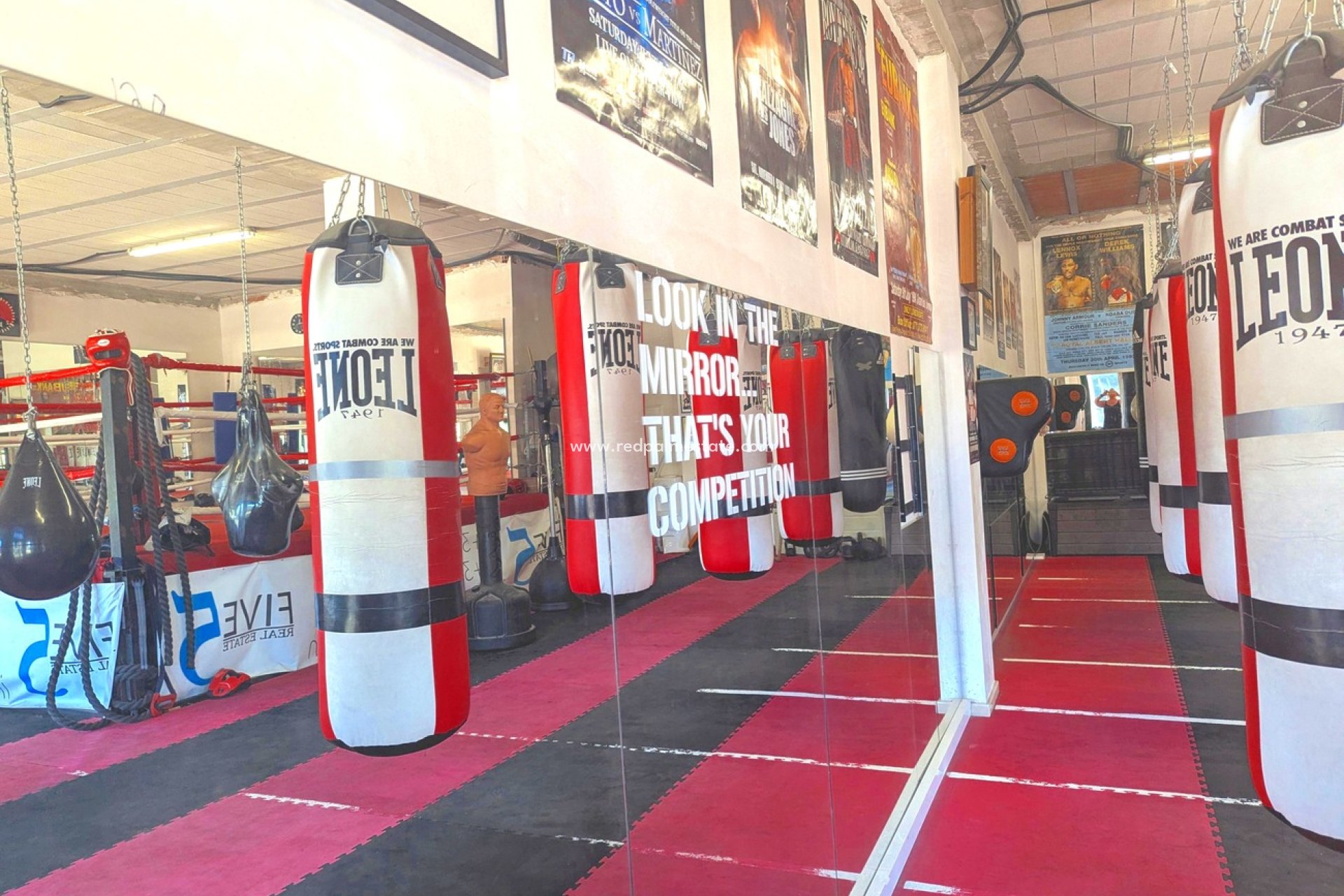 Videresalg - Virksomhet -
Orihuela Costa - La Fuente