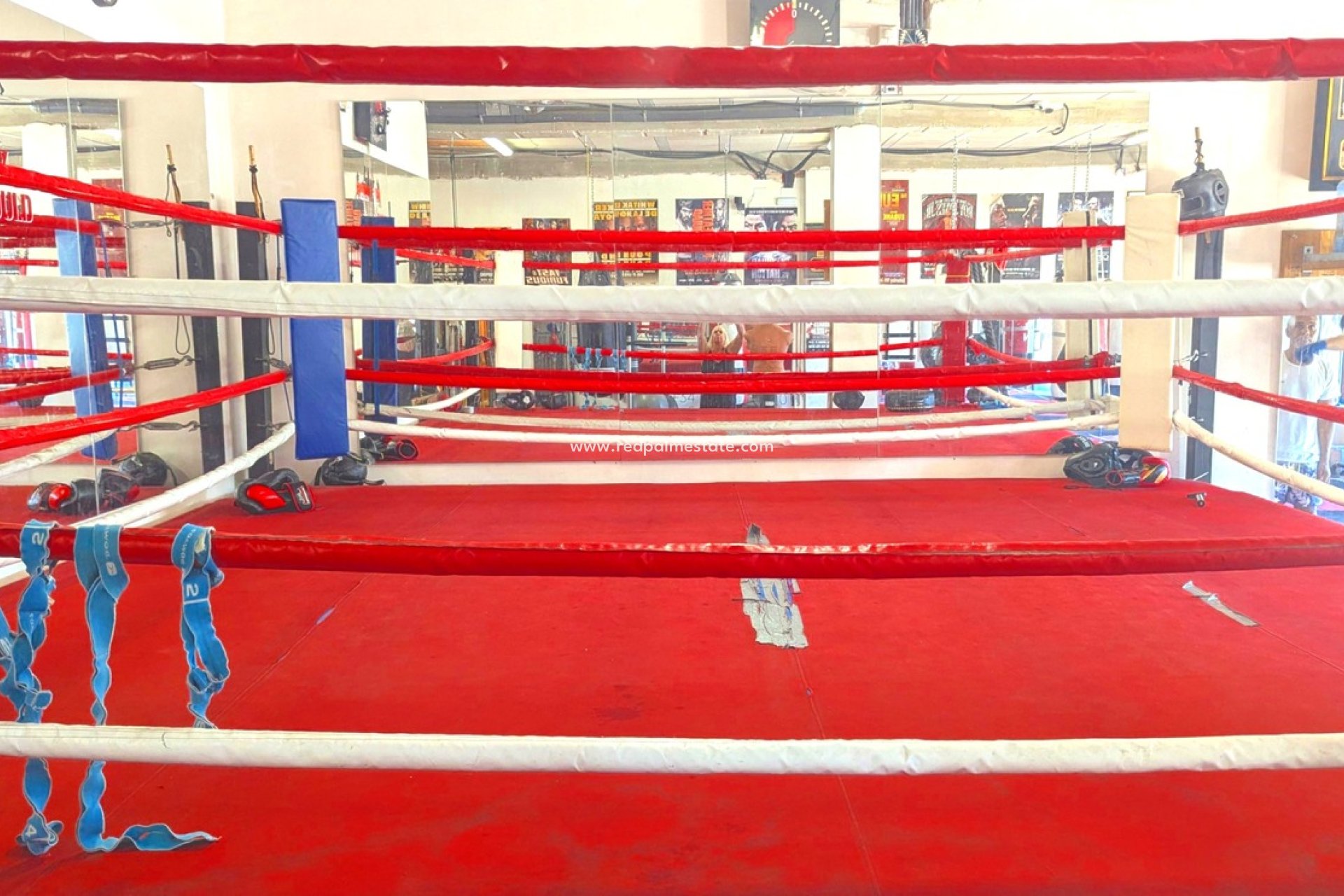 Videresalg - Virksomhet -
Orihuela Costa - La Fuente