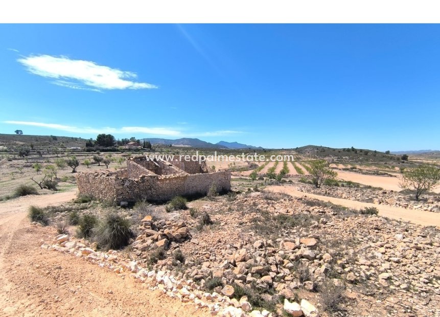 Videresalg - Virksomhet -
Rodriguillo - Inland