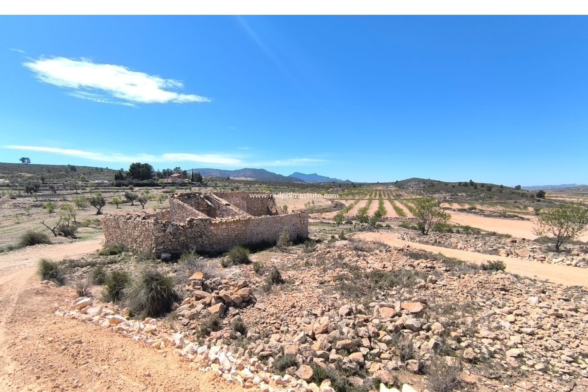 Videresalg - Virksomhet -
Rodriguillo - Inland