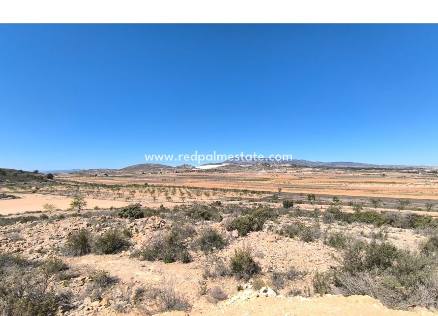 Videresalg - Virksomhet -
Rodriguillo - Inland