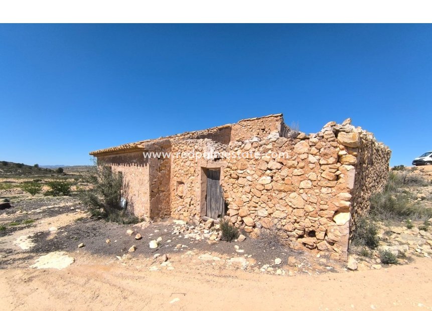 Videresalg - Virksomhet -
Rodriguillo - Inland