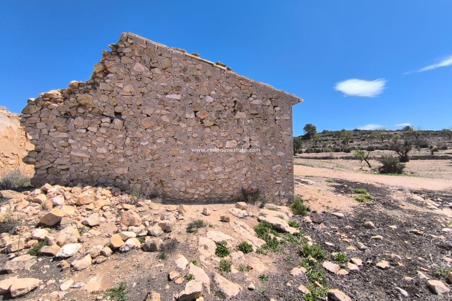 Videresalg - Virksomhet -
Rodriguillo - Inland
