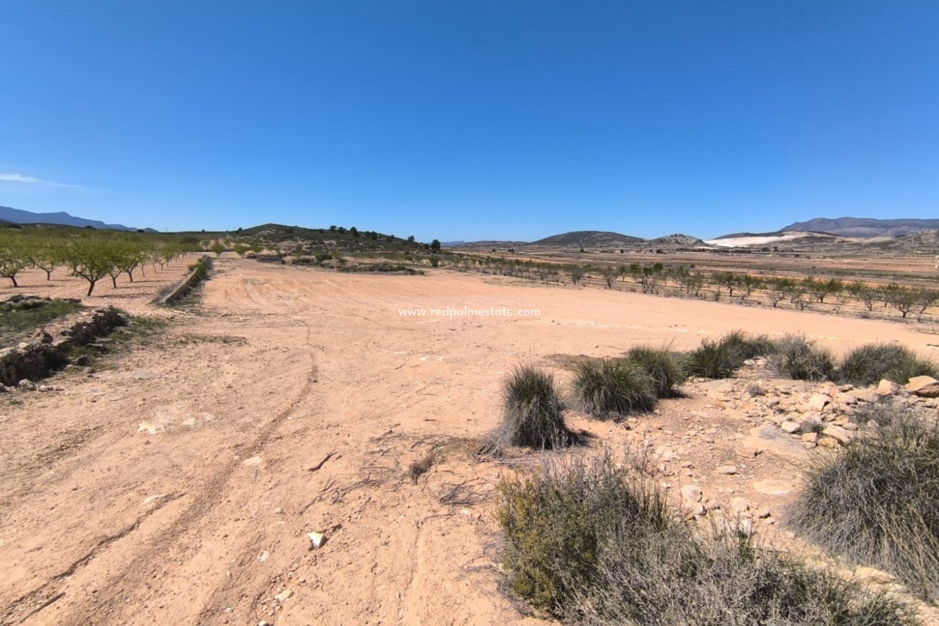 Videresalg - Virksomhet -
Rodriguillo - Inland