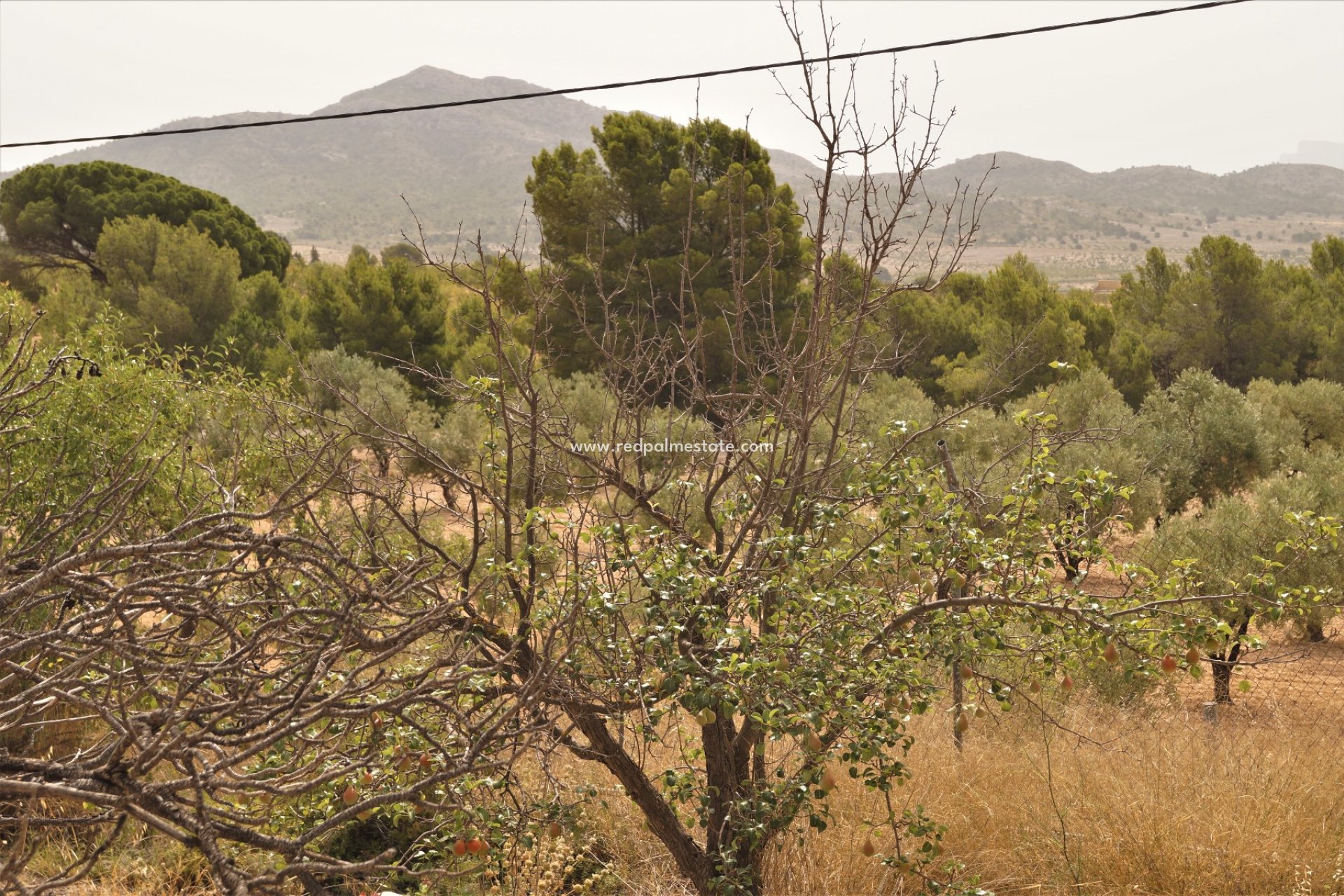 Videresalg - Virksomhet -
Salinas - Inland