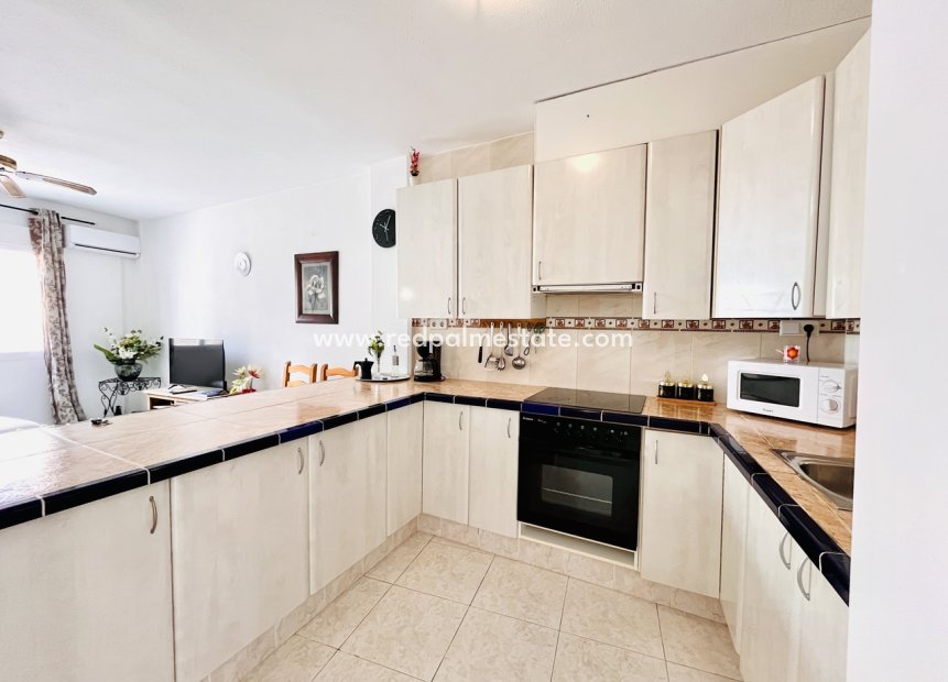 Videresalg - Virksomhet -
San Miguel de Salinas - Inland