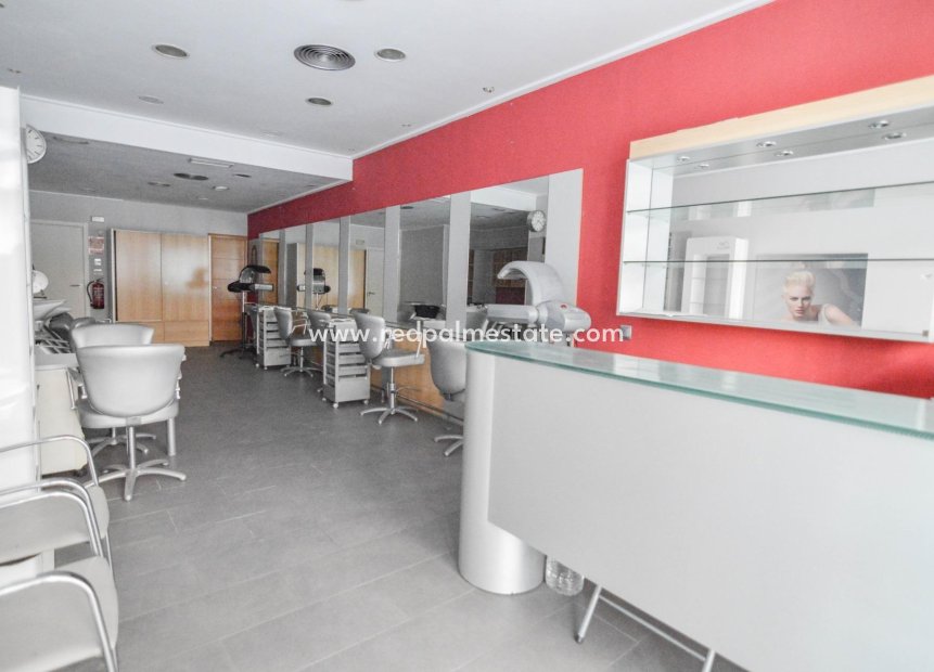 Videresalg - Virksomhet -
Torrevieja - Centro Torrevieja