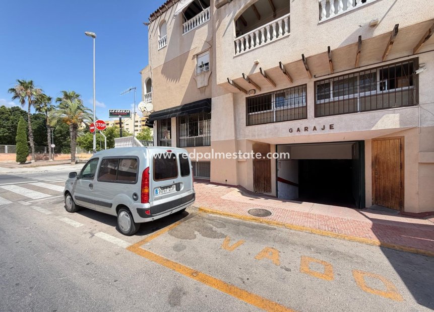 Videresalg - Virksomhet -
Torrevieja - Centro Torrevieja