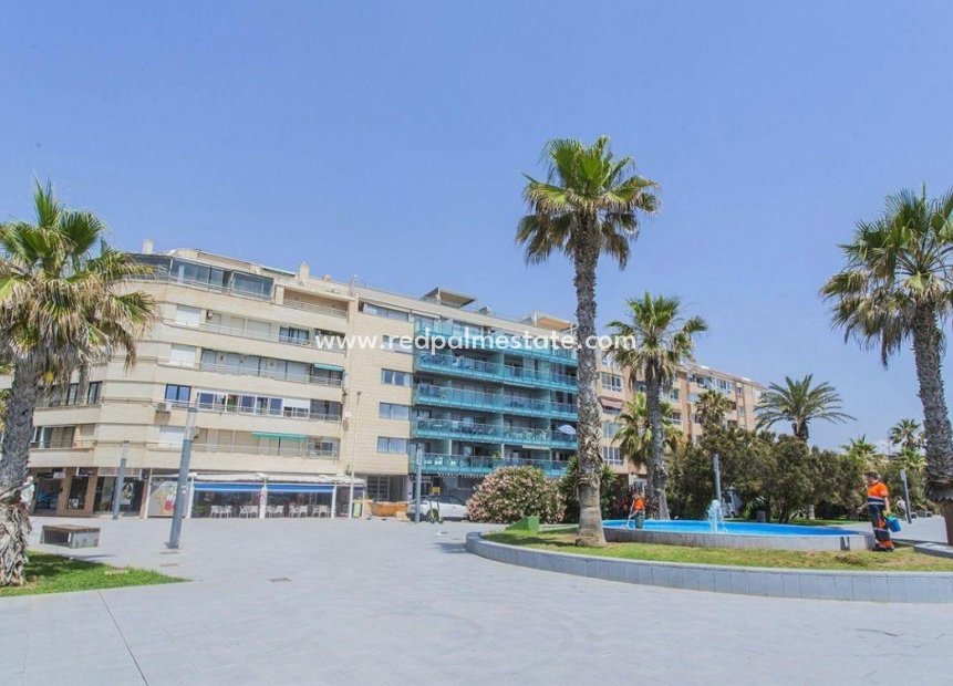 Videresalg - Virksomhet -
Torrevieja - Playa del Cura