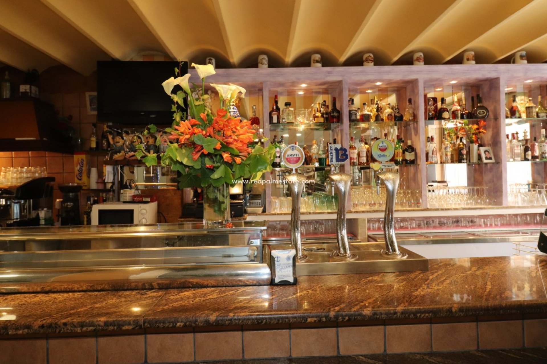 Videresalg - Virksomhet -
Torrevieja - Playa del Cura