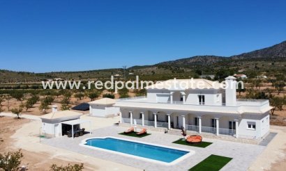 Villa - New Build - Pinoso - Camino Del Prado