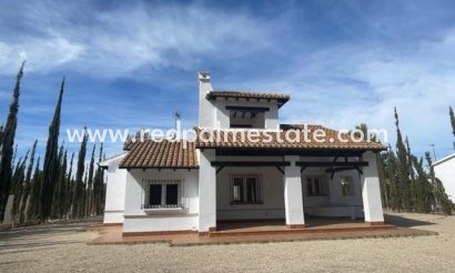 Villa - Nouvelle construction - Fuente Álamo - Las Palas