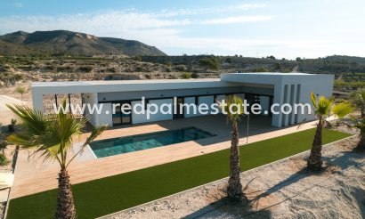 Villa - Nouvelle construction - Pinoso - Pinoso