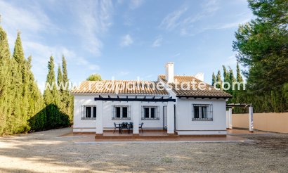 Villa - Obra nueva - Fuente Álamo - Fuente Alamo