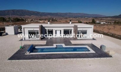 Villa - Obra nueva -
            Pinoso - RSG-24272