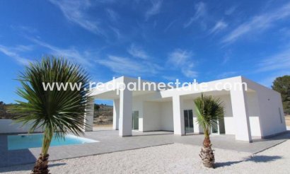 Villa - Obra nueva -
            Pinoso - RSG-53914