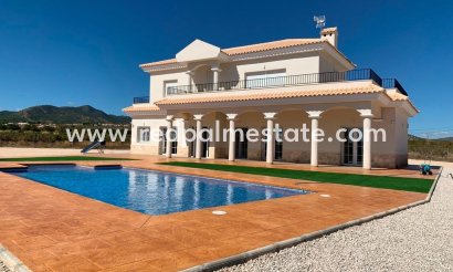 Villa - Obra nueva -
            Pinoso - TLRS-44040