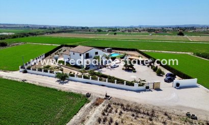 Villa - Revente - Dolores - Dolores