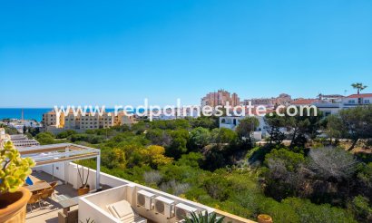 Villa - Revente - Torrevieja - La Mata