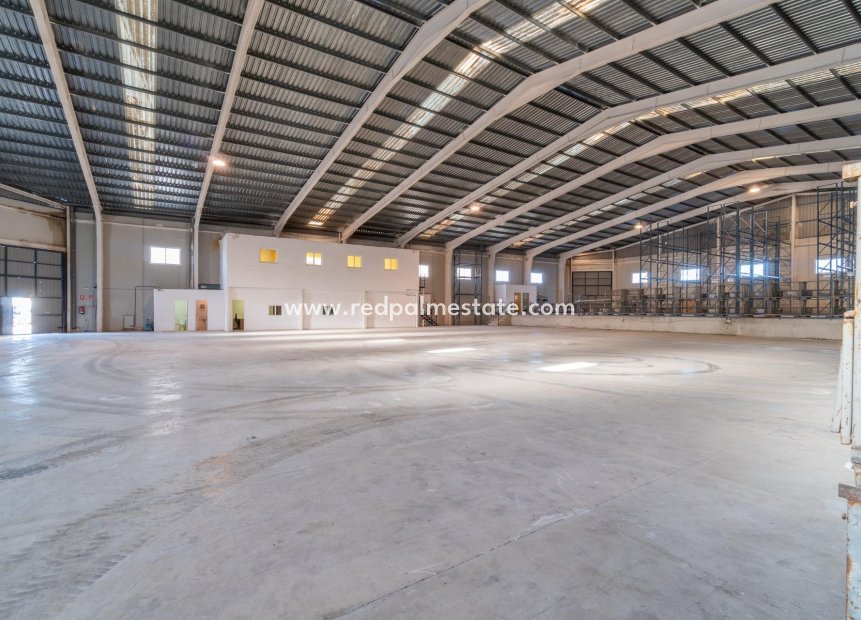  - Virksomhet -
Pilar de la Horadada - Polígono industrial Cañada de Práez