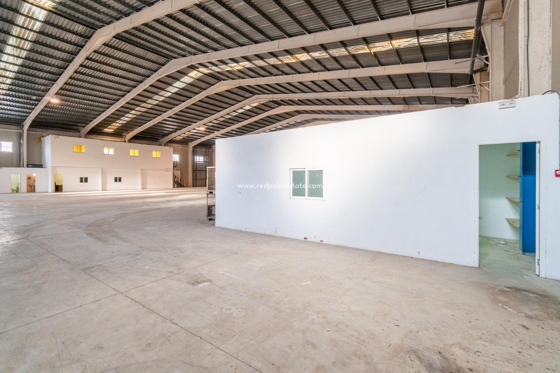  - Virksomhet -
Pilar de la Horadada - Polígono industrial Cañada de Práez