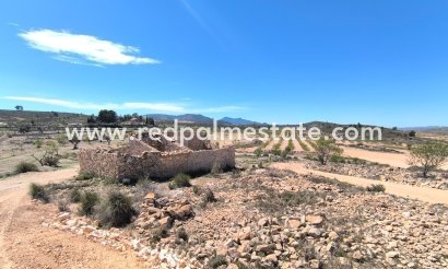 Virksomhet - Videresalg - Rodriguillo - Inland