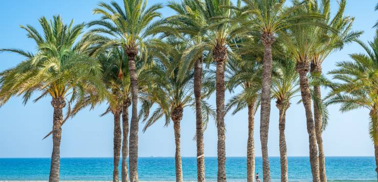 Spanish News Bulletin