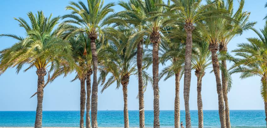 Spanish News Bulletin